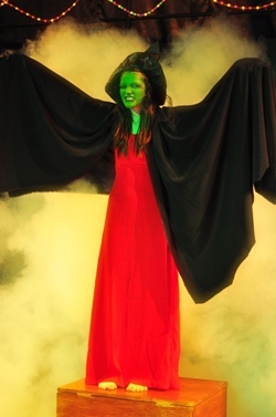 The Wicked Witch of the North.